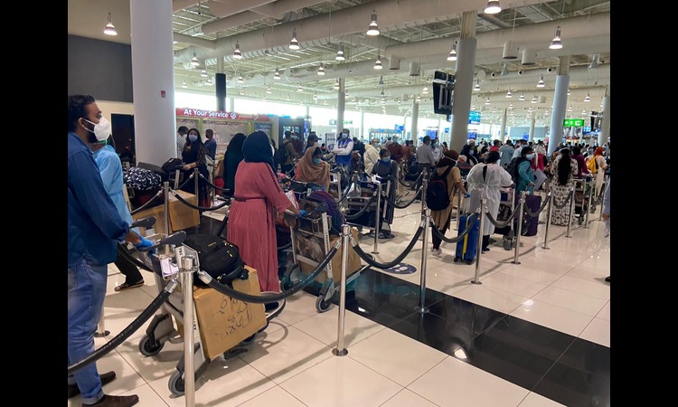 UAE–India Flights: Are Airfares Falling as Summer Holiday Schedules Expand?